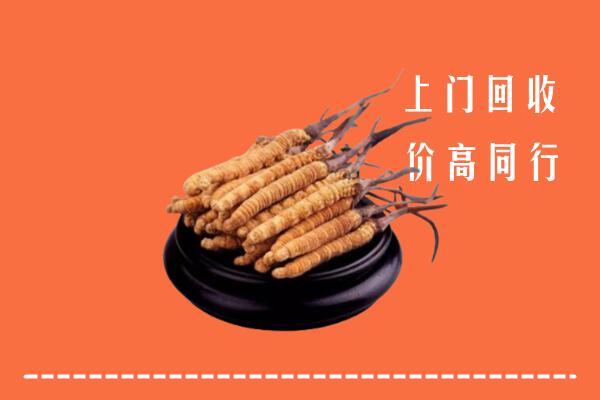 钟山区回收散虫草