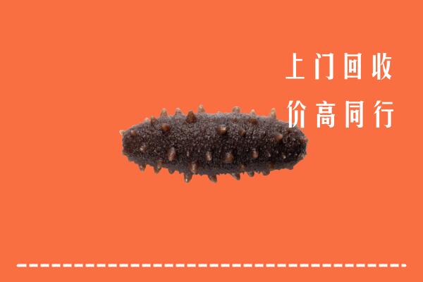 钟山区回收海参