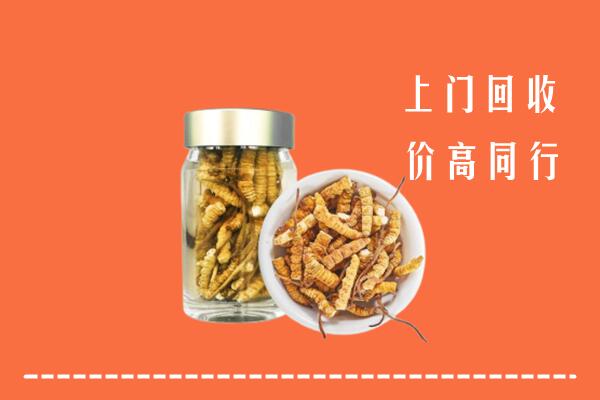 钟山区回收冬虫夏草