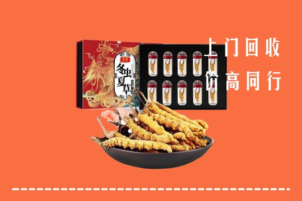钟山区回收虫草